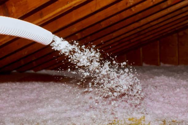 Best Crawl Space Insulation  in Meggett, SC