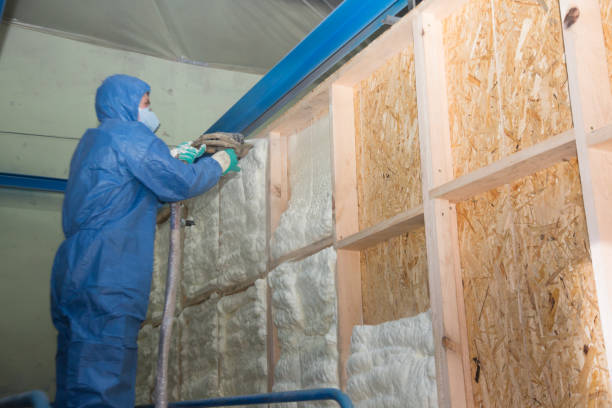 Best Insulation Contractors for Homes  in Meggett, SC