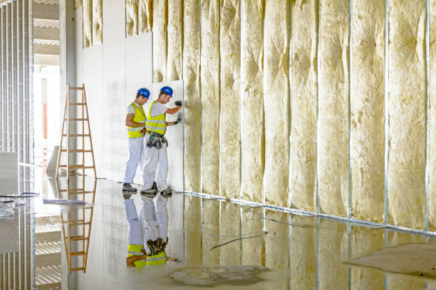 Best Professional Insulation Contractor  in Meggett, SC